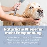 alphazoo Sensibelchen Shampoo für Hunde 250 ml - mildes Hundeshampoo mit Aloe Vera für empfindliche Hundehaut - sanfte Reinigung für glänzendes und geschmeidiges Hundefell