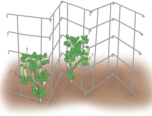 GURNEY'S - Pea Fence and Plant Trellis - 2 Galvanized metail Panels Measuring 8 feet Long and 32 inches Tall When hinged Together