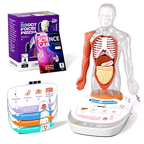 Science Can Human Body Model for Kids, Interactive Human Anatomy Talking Model - 11 Inch Realistic...