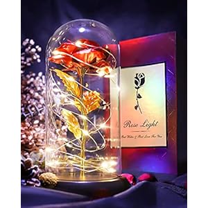 GUCED Red Rose Flower for Women Who Have Everything, Forever Blooming Rose Flower Gifts for Mom Grandma, Romantic for…