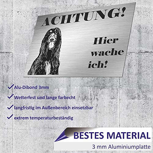 INDIGOS UG - Schilder selbst gestalten Bernhardiner - Wunschtext personalisiert - Aluverbundplatte Edelstahllook - ab 20x15 cm - Spruch - Deko Geschenkidee für Ihren Hund - Zaun - Türschild