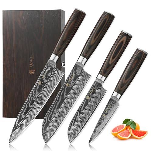 Wakoli EDIB Essentials Set de 4 couteaux en Damas I Lames en acier damassé à 67 couches avec noyau...