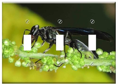 Switch Plate Triple Toggle - Insect Nature Wasp Quindio