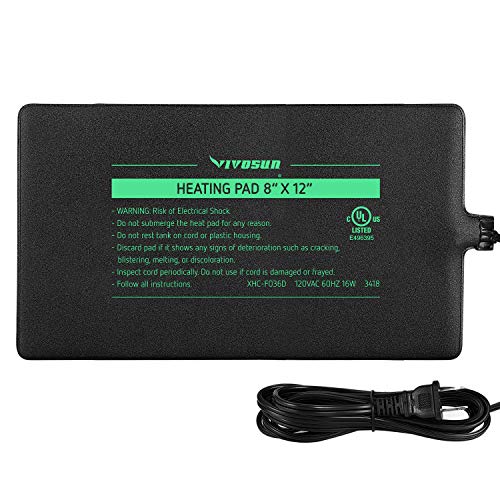 There Is Just No Way You Can Be Quiet With O Pen Mo Uth B A Ll G A G S E X Re St R Aint For M En Wo Men Leat Her Cl A M Ps Game Gifts Br E A Thable Hea Perfect Thing Baseball Sports Outdoors Blutailfinancial Com