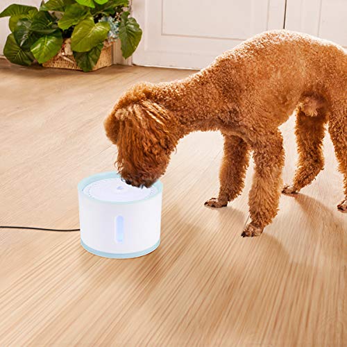 Bebedouros para Gatos, Bebedouro Pet Para Gatos, Dispensador de água Cat Water Fountain Dog para gat