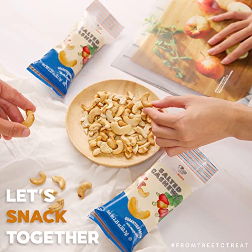 Image of NEWBAM - Cashews Roasted Lightly Sea Salted Nut Snacks Box 10 Individual Pack (2.25oz per Pack) | Ready-to-eat Cashew Roasted Salted Snack Size | Healthy Keto, Vegan, Gluten Free | No Oil, No Sugar add.