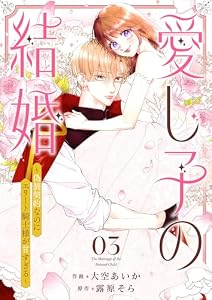 愛し子の結婚～偽装契約なのにエリート騎士様が甘すぎる～３ (comic スピラ)