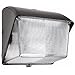 Rab Lighting WALLPACK 70W HPS 120V HPF POLYCARB Lens + LAMP Bronze