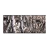 York Wallcoverings Lake Forest Lodge WD4170B Wolves Wallpaper Border Off WhiteGray Band