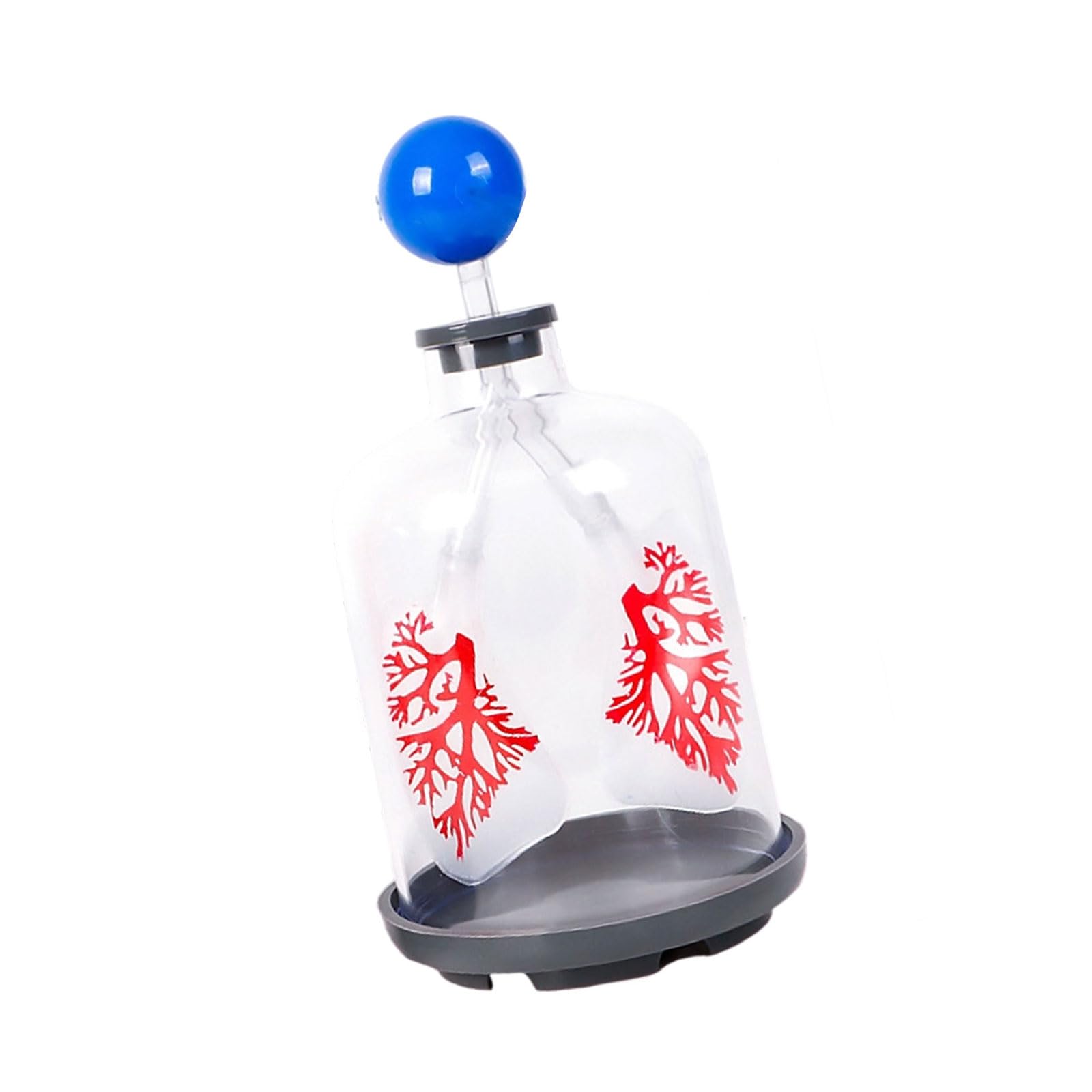 Modèle d'échange de gaz pulmonaire pour simuler la diaphragme - 8
