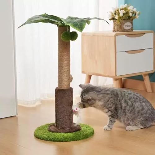 LSi 56cmjALbgc[ALSALbg^[iStjF̃lRŁAlY~^gCz[ƃC^NeBuؐ{[tALɓKiłB