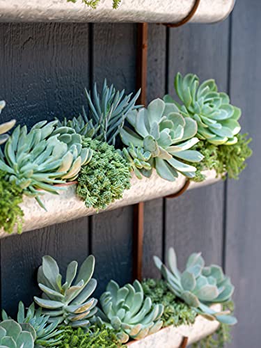 Gardener's Supply Company 3-Tier Galvanized Vertical Wall Planters | Indoor Outdoor Sturdy Metal Wall Mounted Flower & Herbs Hanging Planter Display (3-Pack with Bracket) - Image 5
