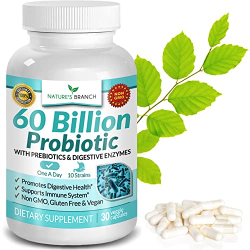Best Probiotic Multienzyme With Acidophilus