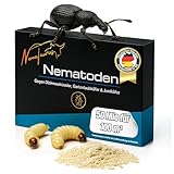 Nematoden 50 mio für 100 m² gegen Dickmaulrüssler Larven biologische...