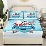 Pratique : les draps aux couleurs vives utilisent un processus d'impression et de teinture réactif respectueux de l'environnement, motif clair, couleurs vives qui ne se décolorent pas après le lavage, façon élégante et tendance de mettre à jour votre chambre.