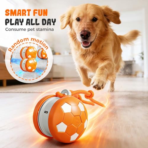 Balle interactive mobile pour chien bleu taille moyenne jouet couineur