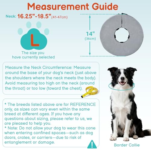 Image of Dog Cone, No-Inflation Sponge Donut Collar for Dogs After Surgery