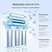APEC WATER | Reverse Osmosis Water Filter, Alkaline 6-Stage RO System, pH+ Remineralization for Natural Spring Taste, Under Sink Filter WQA Certified Removes 1K+ Impurities, 75 GPD - Smart ROES-PH75LD