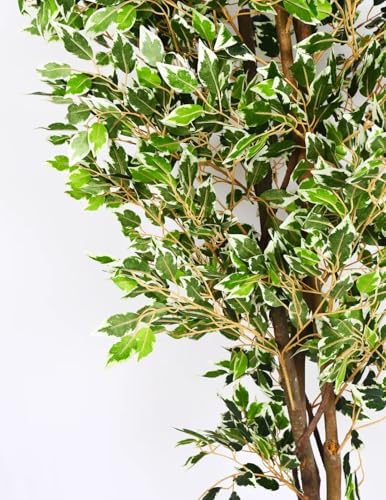 Image of ARICK DECOR 5Ft Artificial Bird of Paradise Plant in Pot, 5ft Realistic Faux Banana Leaf Tree for Home Decor, Office, Living Room (5.5FT-FICUS)