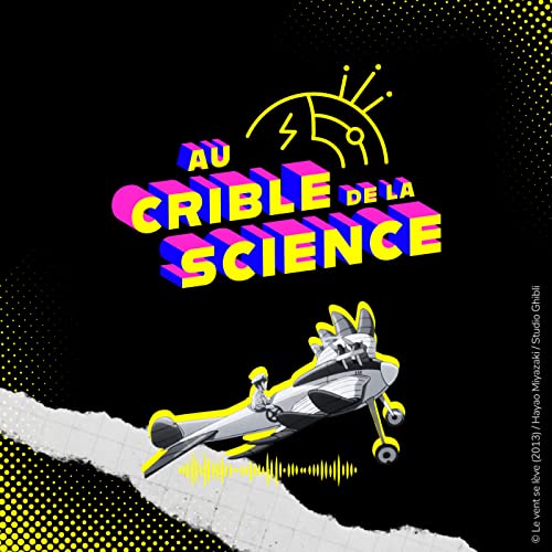 Prendre ou ne pas prendre l'avion pour voyager ?