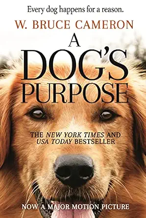 dogs