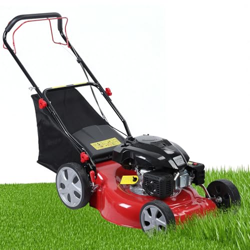 Rodiuiu Gas Lawn Mower Self Propelled