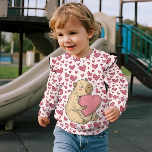 Girls Sweatshirts Toddler Baby Cute Ruffle Long Sleeve Crewneck Pullover Tops Casual Sweatshirt Size 1-8 Years3