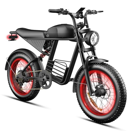 WynRyd 1000W Fast Ebike