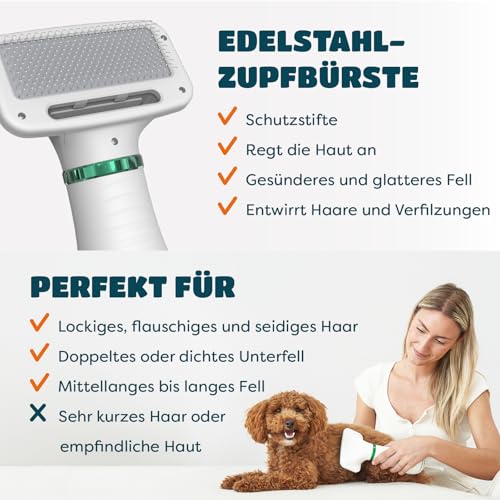 KUUBIA Hundeföhn | 2-in-1 Haartrockner mit Bürste | Hundefön für kleine und mittelgroße Hunde & Katzen | 300W Blower, tragbar, relativ leise, einstellbare Temperatur, Edelstahl-Zupfbürste