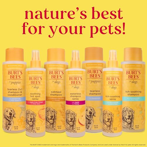 Burt's Bees for Pets Anti Itch Dog Spray with Honeysuckle and Honey, Waterless Grooming Mist for Dry Flaky Skin, Dog Itch Relief Between Baths, Natural Origin Coat Care for Dogs, 10 Fl Oz
