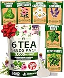 6 Tea Herb Seeds Pack | Heirloom Herbal and Medicinal Tea Seeds for Planting | Chamomile, Lavender, Mint, Lemon Balm, Peppermint, Purple Coneflower Echinacea | Herb Garden Starter Kit Indoor |