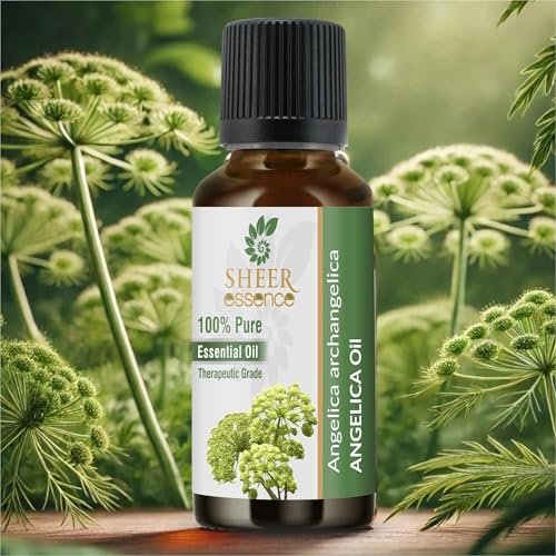 Aceite de Angélica 100% Puro y Natural 1.69 Fl.Oz miniatura 2