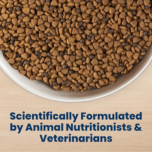 Blue Buffalo Life Protection Formula Chicken & Brown Rice Puppy Dry Dog Food with DHA & ARA, Supports Immunity with Antioxidant-Rich LifeSource Bits, Promotes Healthy Muscles & Strong Bones, 15 lbs.