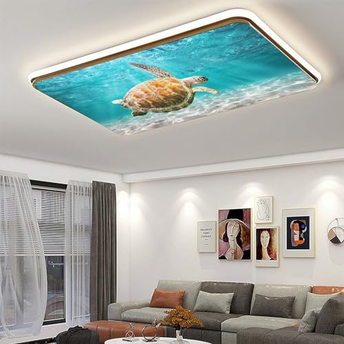 Image of 2 Pack Fluorescent Light Cover for Ceiling Light -Swimming Turtle Magnetic Light Covers Classroom, Light Filters Drop Fluorescent Light Shade Panel for Office Home School,4 x 2 Ft
