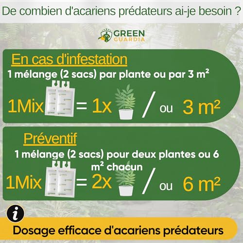 Raubmilben contre les Thrips sachet Acarien Prédateur Biologique GREEN GUARDIA Plante d'Intérieur - 4