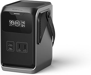 EF ECOFLOW Trail 200 DC Portable Power Station
