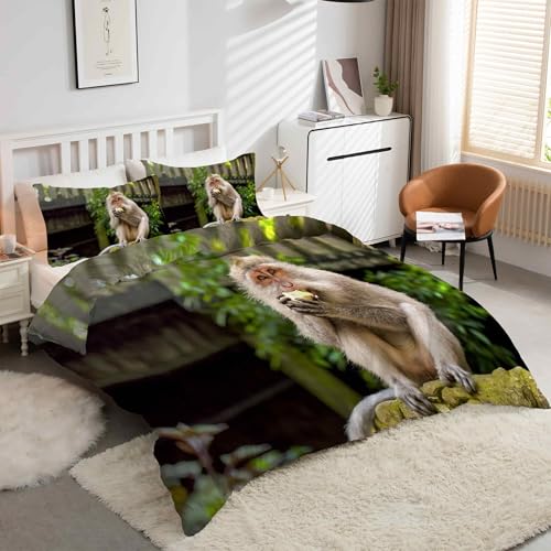 Housse de couette 220x240 singe zippée anti-plis en microfibre - 2