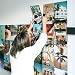 Flamingueo Fotos Pared Decoracion - 100 Fotos Decoracion Habitacion Tumblr, Decoracion Paredes...