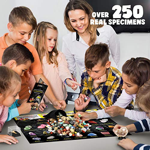 XX Edelsteine und Fossilien Set für Kinder - 250 Steine Set Mit Unterschiedlich Kristalle, Mineralien, Geoden, Edelsteine, Fossilien - Edelsteinsammlung Spielzeug Junge Mädchen 6 7 8 9 10 11 12 Jahre