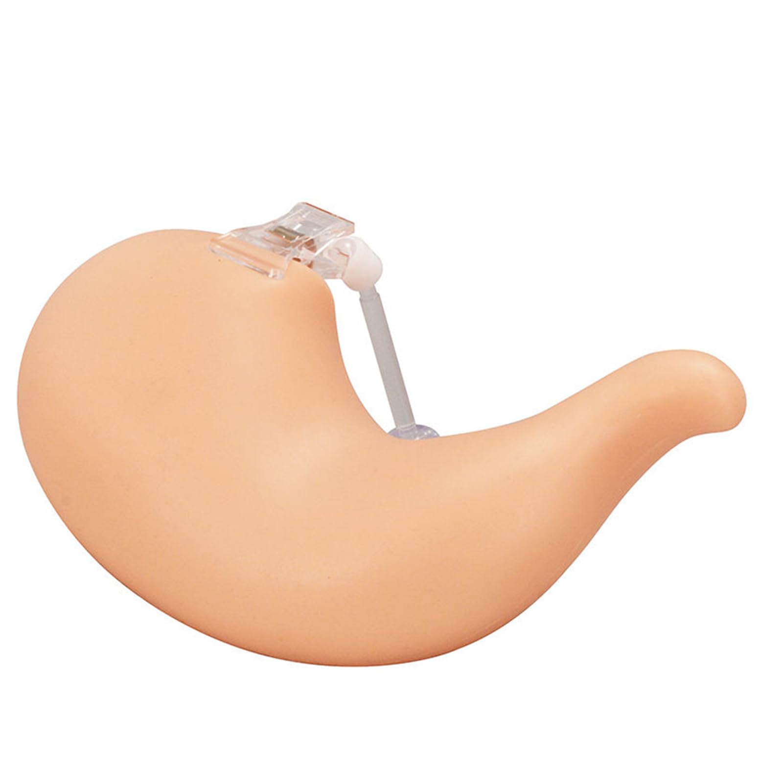 YRQMGSF Silicone Hollow Gastric Model - Hollow Organ Suture Practice Kit - for Medical Students & Vet Training