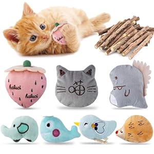 SeaMorn 37Pcs Catnip Toys for Cats – 9Pcs Plush Catnip-Filled Toys for Indoor Cats Kitten and 30Pcs Cat Chew Sticks, Value Pack Cat Toys for Playing Chewing Grinding Claw Teeth Cleaning