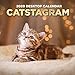 2020 Catstagram Daily Desktop Calendar