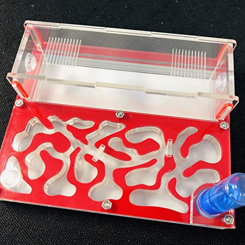 Ant Farm Educational Formicarium für LIVE Ameisen Reagenzglas Feuchtigkeit großer Raum Acryl Ameisennest, Insektenameisen Villa House Ants Ecological Workshop (Rot)