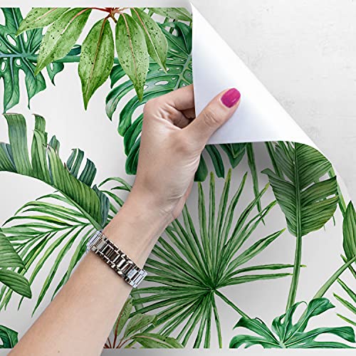 Papier peint monstera repositionnable pour masquer les défauts de mur