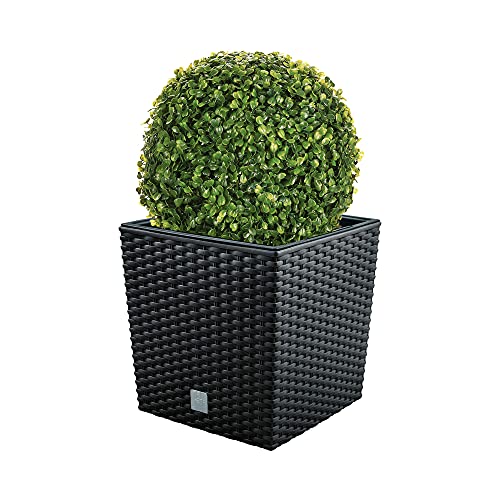 WellHome Lot de Pots de Fleurs Rato, Anthracite 32 l avec Support pour Plantation 32 x 32 x 32,5 cm + Boule de buis