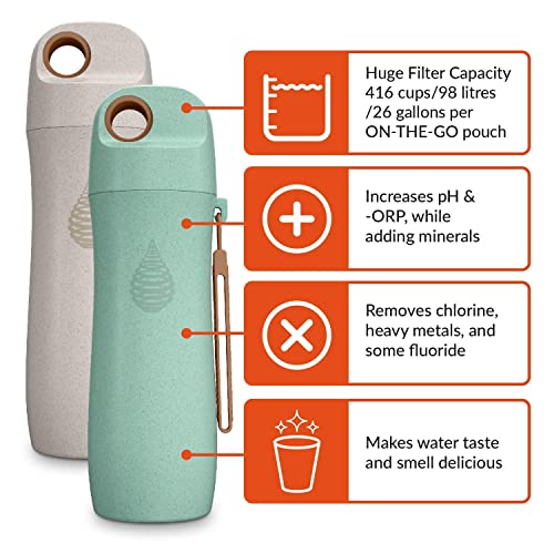 Ph Vitality Stainless Steel Alkaline Water Pitcher - Alkaline Water Filter Pitcher Plus One Ph Conscious 450Ml Beige Wheat Straw Alkaline Water Bottle Bundle #TOP6