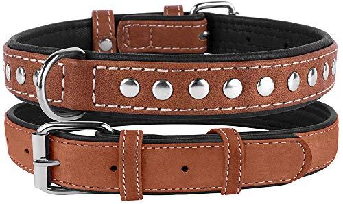 CollarDirect Hundehalsband mit Nieten, Leder, für kleine und mittelgroße Welpen, weich gepolstert, Braun/Schwarz (Braun, 28-33 cm)