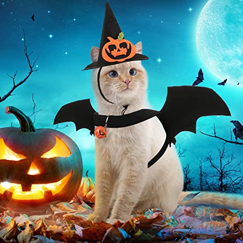 Disfraz Halloween para Gato 5 Piezas Potchen miniatura 7
