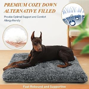 Dog Beds for Large Dogs Fixable Deluxe Cozy Dog Kennel Beds for Crates Washable Dog Bed 36 X 23 X 3 Inches Black  Cucciolini Doodles Dog beds for large dogs fixable deluxe cozy dog kennel beds for crates washable dog bed 36 x 23 x 3 inches black   cucciolini doodles