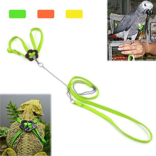 25 Best Bearded Dragon Leash And Harness In 2020 Reviews Faqs